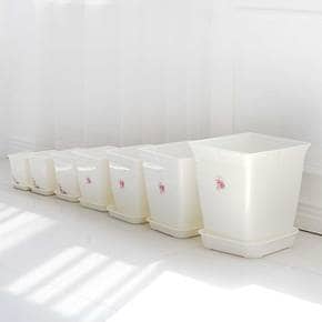 화이트 화분 정사각 6호 베란다 텃밭 플라스틱화분
