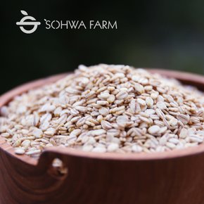 2025년 납작 보리 2kg / 4kg (늘보리 압맥)