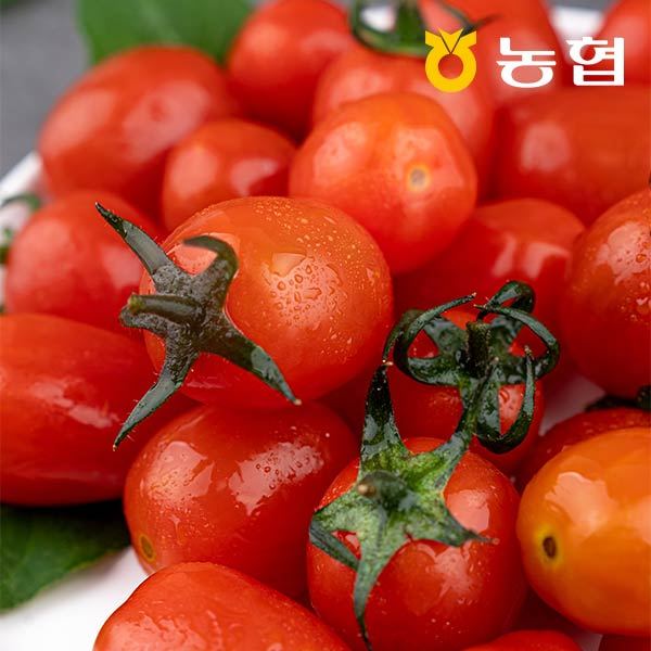확대된 대표 대표이미지