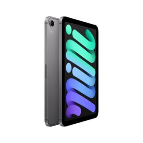 아이패드 미니 7세대 셀룰러 mini Wi-Fi + Cellular 256GB 스페이스 그레이 MXPT3KH/A