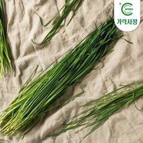 [온도씨]가락시장 당일경매 차이브 1팩(약10g)[36118804]