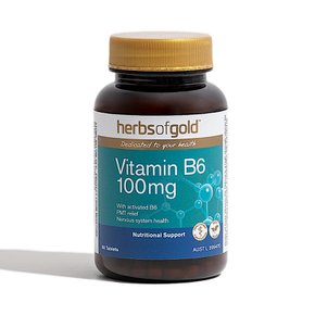 허브스오브골드 비타민 B6 100mg herbsofgold Vitamin 60정