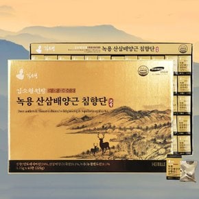 김소형원방 녹용 산삼배양근침향단 3.75gx60환(쇼핑백 포함)