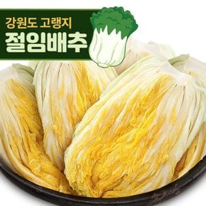 [예약판매] 강원도 고랭지 절임배추 20kg