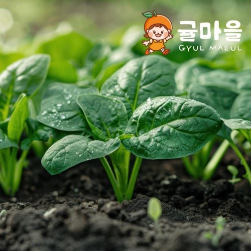 추가3이미지