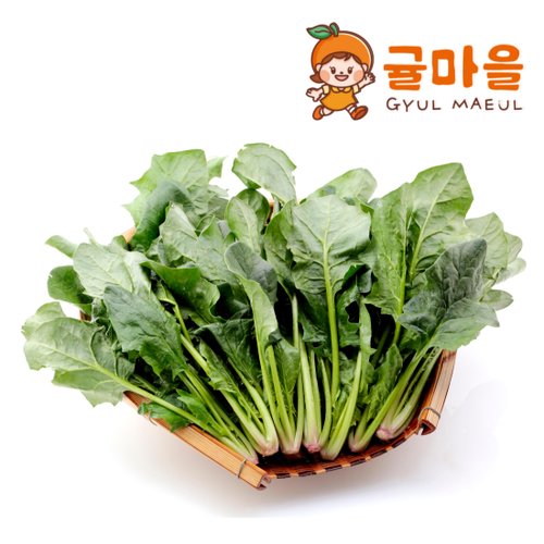 추가4이미지