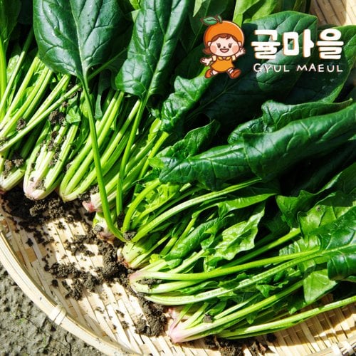 추가5이미지