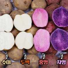 산지직송 햇감자 괴산 자영감자 대왕 3kg