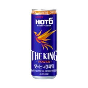 롯데칠성 에너지드링크 핫식스 더킹파워 355ml 12캔