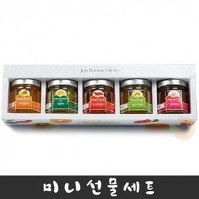 제주담움 미니5종 선물세트(각50g)/과일차세트