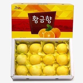 제주 황금향 중대향 실속 선물세트 3kg