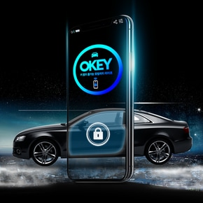 오키 OKEY 최신 오토도어 디지털 스마트키 차키없이 스마트폰차량 제어/쉐보레 GM