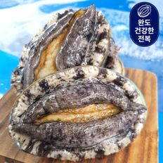 완도활전복 6-7미 1kg(마리당140g내외)(산소포장)[31561975]