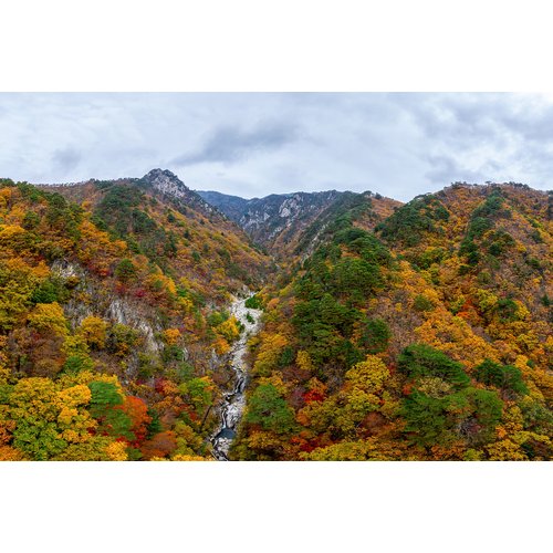 https://media.eoding.com/media/travelagent/40/imagecontent/설악산_흘림골.jpg