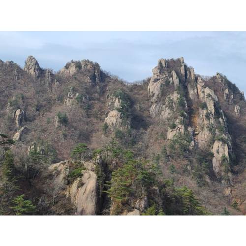 https://media.eoding.com/media/travelagent/40/imagecontent/등선대 전망대.jpg