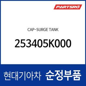 캡-서지 탱크 (253405K000)  메가트럭, 메가 트럭 특장