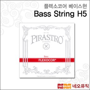 플렉소코어 베이스현낱선 String H5 /악기줄