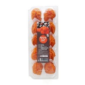 Fresh 일성영농조합법인 황토방 숙성 달콤 곶감 반건시 10구 500g