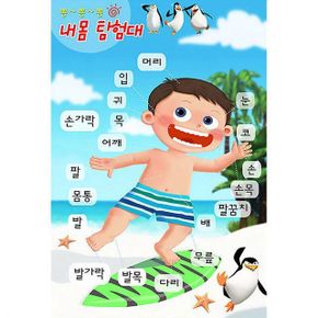 뿅뿅뿅 내몸탐험대-남아 5매