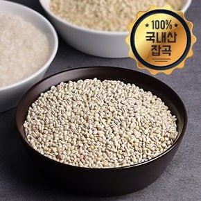 [25년산 잡곡] 국산 찰보리 500g