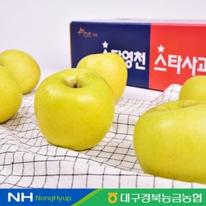 경북 황금사과(시나노골드) 2.5kg 9~13과