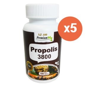 뉴베델 프로폴리스 3800 180캡슐 엔조네놀 15ml 5EA