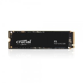 마이크론 Crucial P3 대원씨티에스 (1TB)