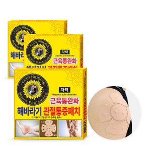 히딩크 해바라기 관절 근육통 무릎 어깨 통증패치 4매X3개(1매X자석10개)