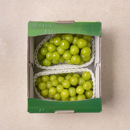 [기획] 샤인머스켓 1.5kg 박스