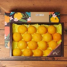 [부직포가방 포장]제주 황금향 4.5kg 중과 17-20과 선물세트