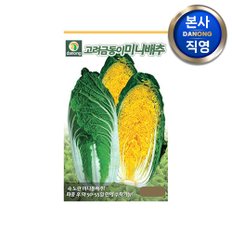 고려금동이 미니배추 씨앗 10만립 . 야채 쌈 채소 김장 겉절이 텃밭 씨 종자