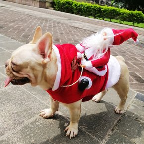 강아지 코스프레 옷 크리스마스 코스튬