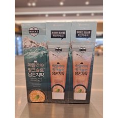 밤부솔트 히말라야 핑크솔트 담은 치약 아이스 100g*3개입