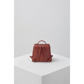 Oval day bag(Red clay)_OVBAX23523CHC