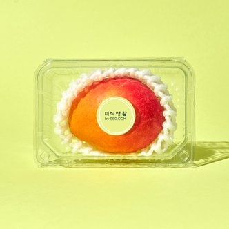 미식생활 프리미엄 제주 애플망고 1입 (400g)