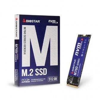 엠지솔루션 Biostar M760 M.2 NVMe (512GB)