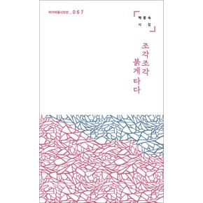 조각조각 붉게 타다 (작가마을 시인선 67)