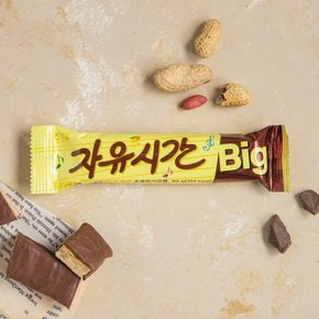 해태 Big자유시간64g