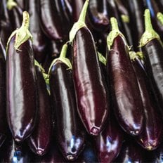  포미식탁 국내산 햇 가지 특품 3kg