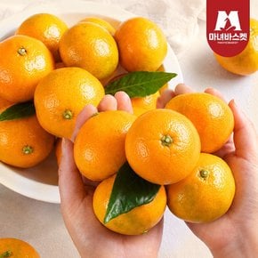 [마녀바스켓] 고당도 산지직송 제주 하우스감귤 3kg 중대과