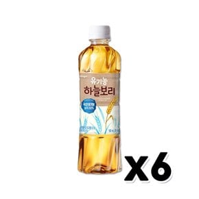 웅진 유기농하늘보리 페트음료 500ml  x 6개