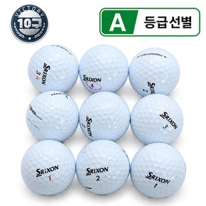 혼합 골프 로스트볼 A급 10알/빅토리