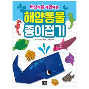 해양동물 종이접기_P342085404