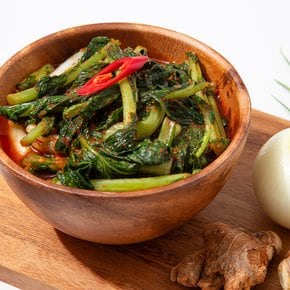 [더조은] 햇살담은 국내산 열무김치 2kg