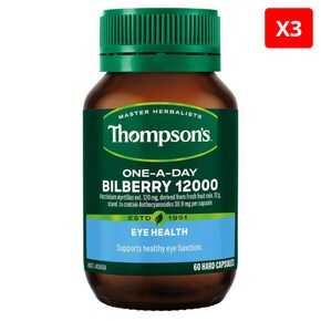 원어데이 빌베리 12000mg 60캡슐 X3개