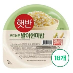 CJ제일제당 햇반 발아현미밥 210g x 18개