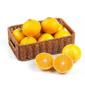 제주농부들의 제철 황금향 4kg 중소과 (20-40과)