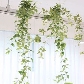 스마일락스 특대형(120cm) 행잉 플랜트 조화 공중 넝쿨 식물