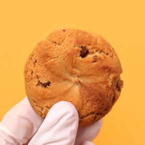 제주특산품 허쉬 모찌쿠키 감귤 1상자 찰떡쿠키 초콜릿칩