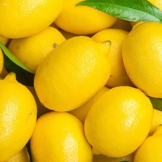산정마을 상큼한 정품팬시 레몬 10개(개당 120g내외)